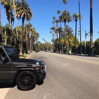 Отзыв от Александр - DTV виза